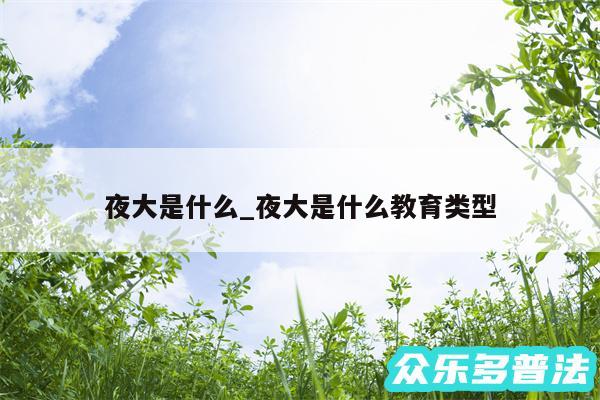 夜大是什么_夜大是什么教育类型