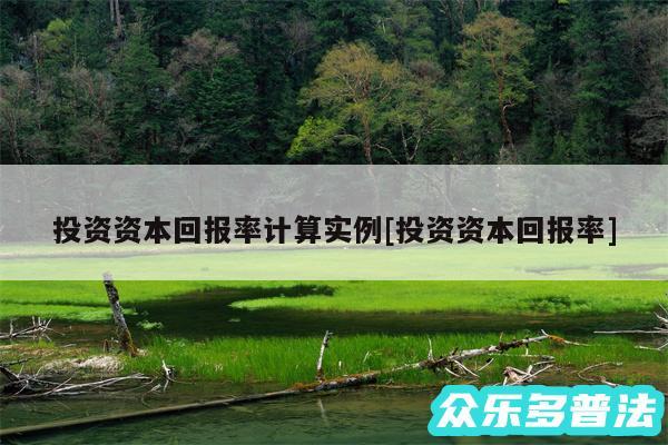 投资资本回报率计算实例及投资资本回报率