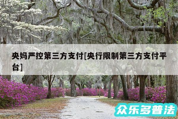 央妈严控第三方支付及央行限制第三方支付平台