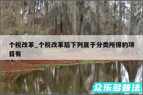 个税改革_个税改革后下列属于分类所得的项目有