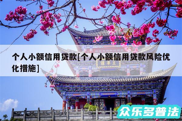 个人小额信用贷款及个人小额信用贷款风险优化措施