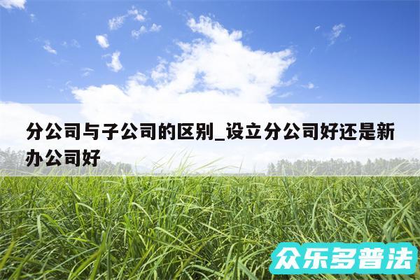 分公司与子公司的区别_设立分公司好还是新办公司好