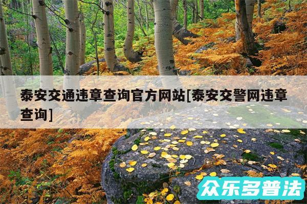 泰安交通违章查询官方网站及泰安交警网违章查询