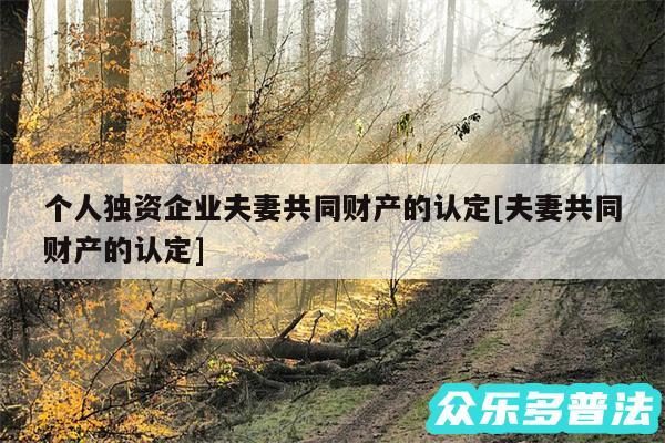 个人独资企业夫妻共同财产的认定及夫妻共同财产的认定