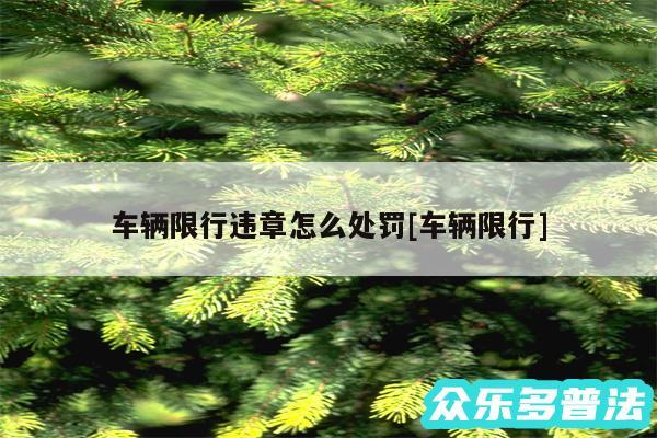 车辆限行违章怎么处罚及车辆限行