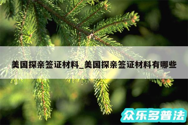 美国探亲签证材料_美国探亲签证材料有哪些