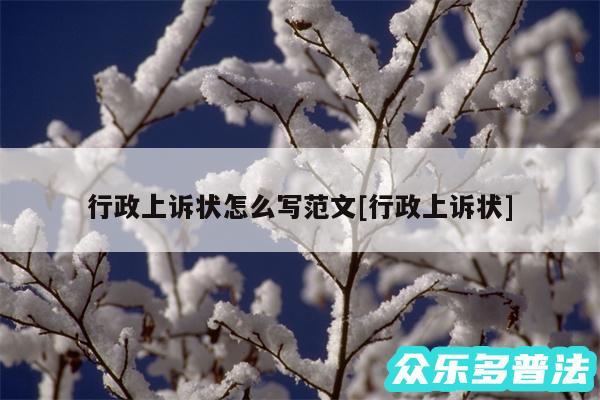行政上诉状怎么写范文及行政上诉状