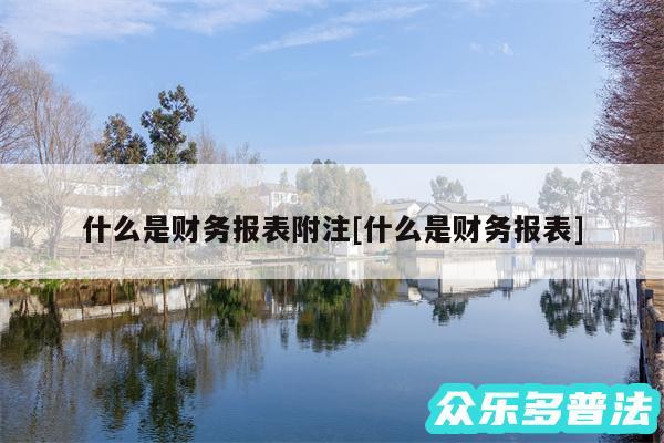 什么是财务报表附注及什么是财务报表