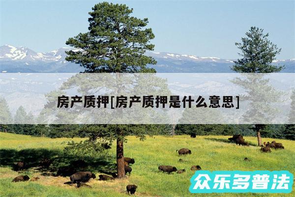 房产质押及房产质押是什么意思