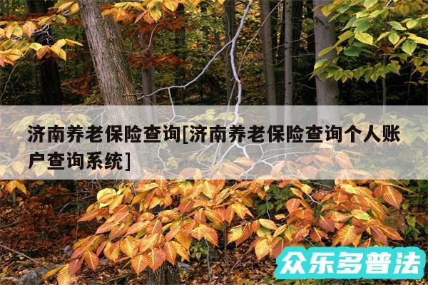 济南养老保险查询及济南养老保险查询个人账户查询系统