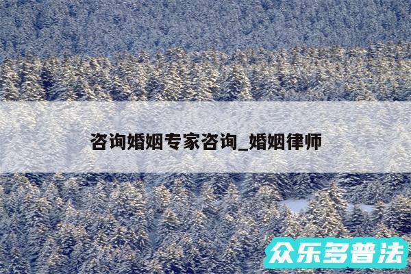 咨询婚姻专家咨询_婚姻律师
