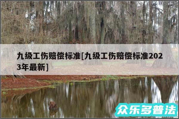 九级工伤赔偿标准及九级工伤赔偿标准2024年最新