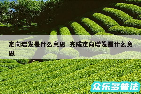 定向增发是什么意思_完成定向增发是什么意思