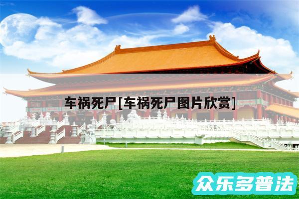 车祸死尸及车祸死尸图片欣赏