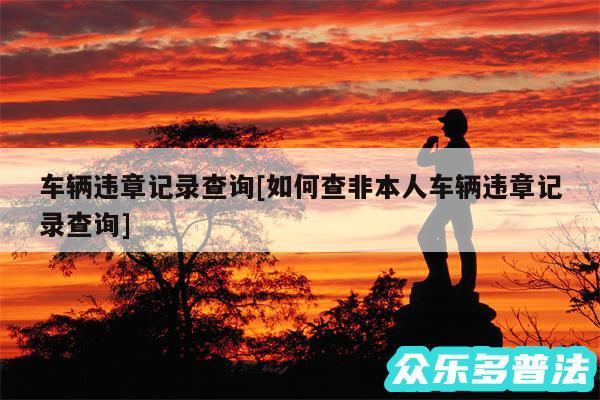 车辆违章记录查询及如何查非本人车辆违章记录查询