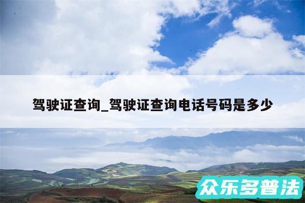 驾驶证查询_驾驶证查询电话号码是多少