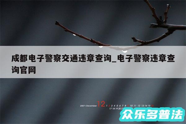 成都电子警察交通违章查询_电子警察违章查询官网