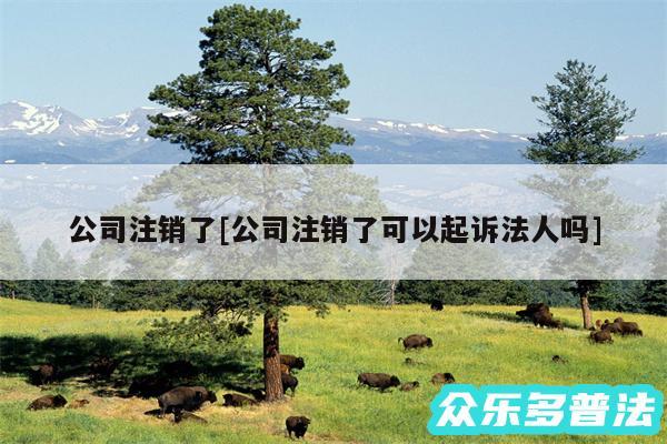 公司注销了及公司注销了可以起诉法人吗