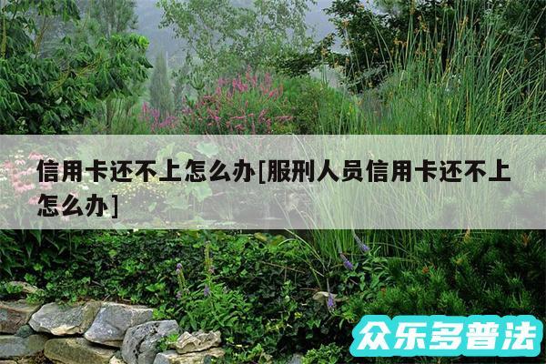 信用卡还不上怎么办及服刑人员信用卡还不上怎么办