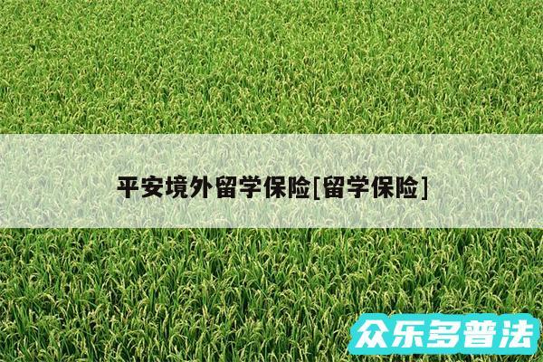 平安境外留学保险及留学保险