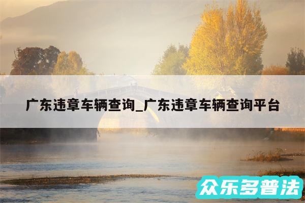 广东违章车辆查询_广东违章车辆查询平台