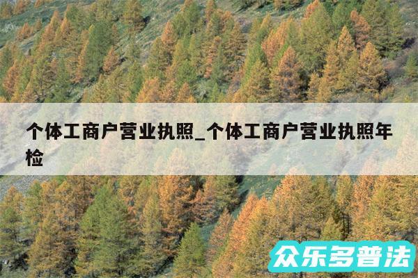 个体工商户营业执照_个体工商户营业执照年检