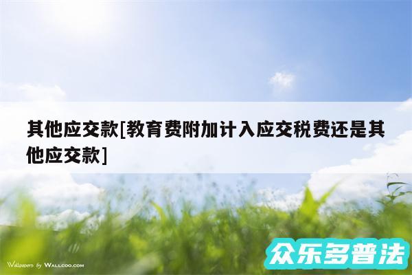 其他应交款及教育费附加计入应交税费还是其他应交款