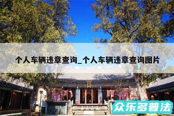个人车辆违章查询_个人车辆违章查询图片