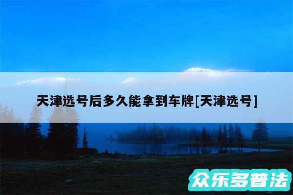 天津选号后多久能拿到车牌及天津选号
