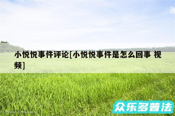 小悦悦事件评论及小悦悦事件是怎么回事 视频