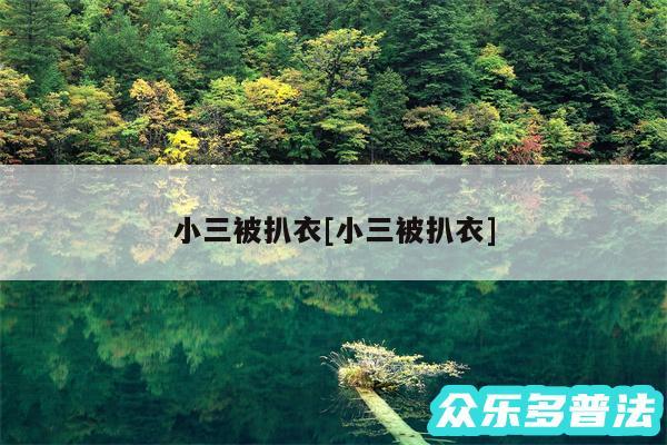 小三被扒衣及小三被扒衣