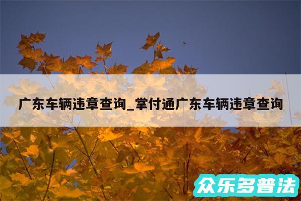 广东车辆违章查询_掌付通广东车辆违章查询