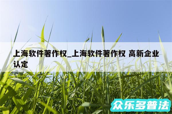 上海软件著作权_上海软件著作权 高新企业认定