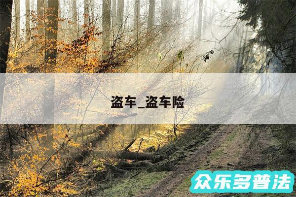 盗车_盗车险