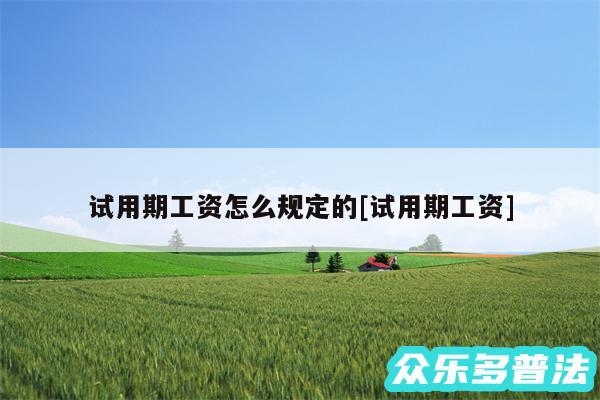 试用期工资怎么规定的及试用期工资