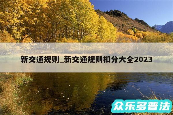 新交通规则_新交通规则扣分大全2024
