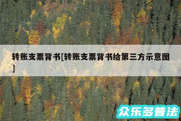 转账支票背书及转账支票背书给第三方示意图