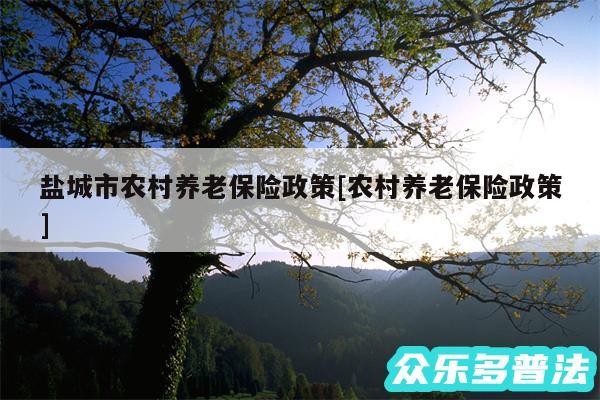 盐城市农村养老保险政策及农村养老保险政策