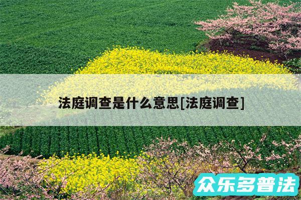 法庭调查是什么意思及法庭调查