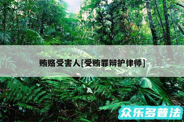 贿赂受害人及受贿罪辩护律师