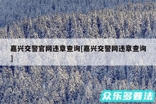 嘉兴交警官网违章查询及嘉兴交警网违章查询
