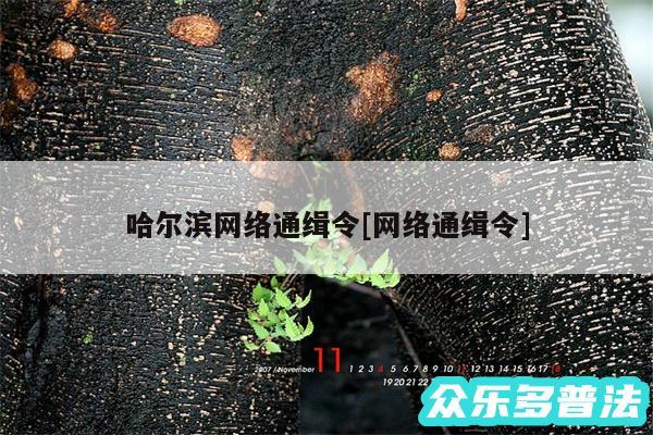 哈尔滨网络通缉令及网络通缉令
