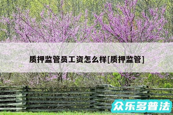 质押监管员工资怎么样及质押监管