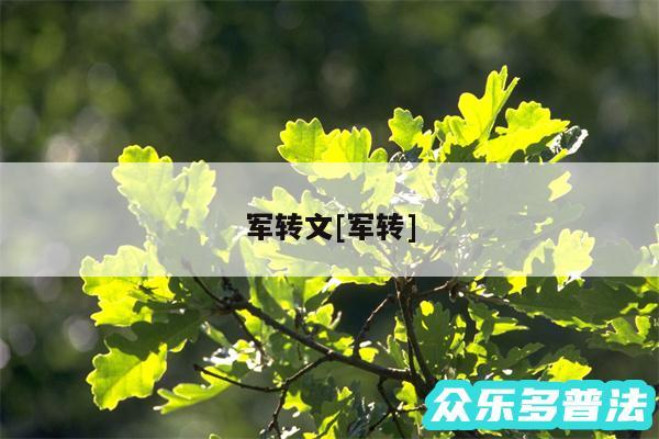 军转文及军转