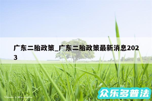 广东二胎政策_广东二胎政策最新消息2024