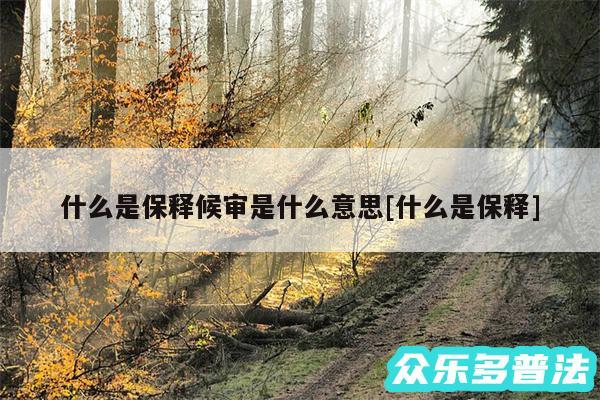 什么是保释候审是什么意思及什么是保释