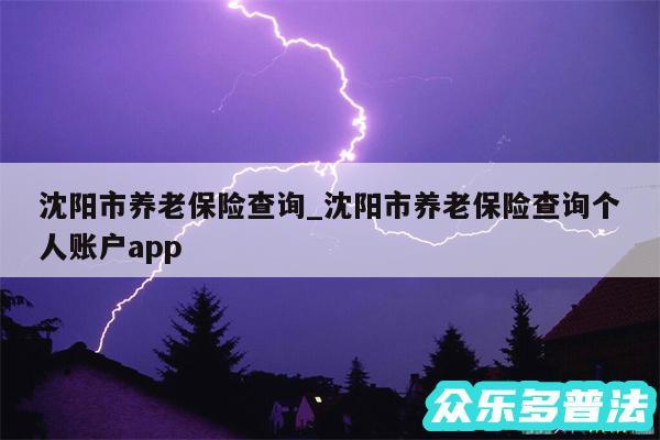 沈阳市养老保险查询_沈阳市养老保险查询个人账户app