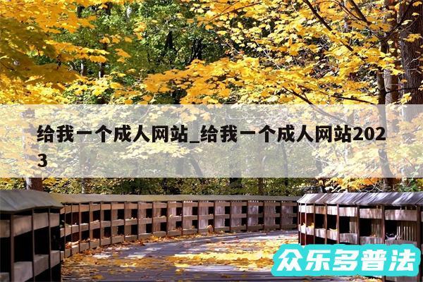 给我一个成人网站_给我一个成人网站2024