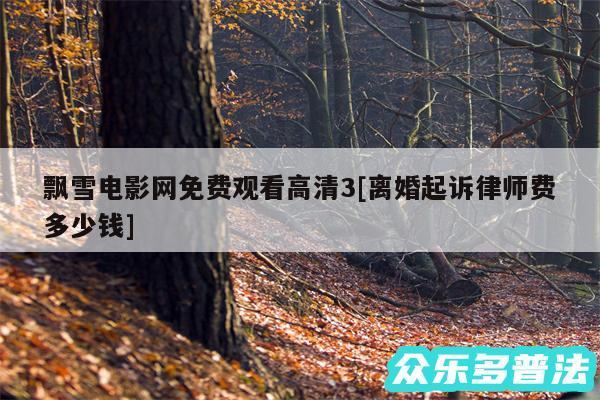 飘雪电影网免费观看高清3及离婚起诉律师费多少钱