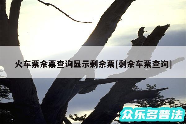 火车票余票查询显示剩余票及剩余车票查询